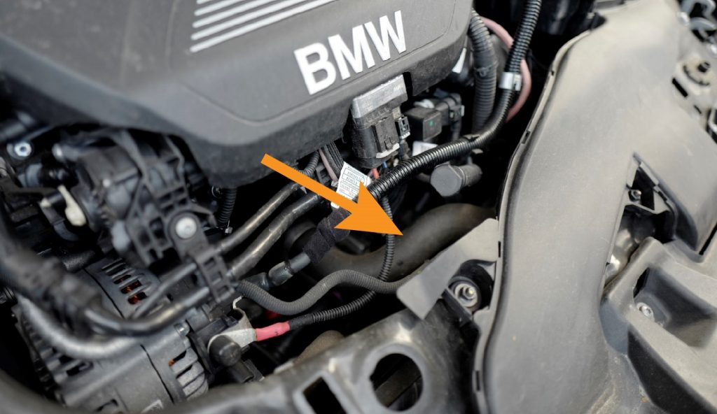 Location of the upper radiator hose in a used BMW car.